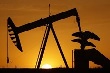 OPEC dự báo nhu cầu dầu mỏ thế giới sẽ tiếp tục tăng 